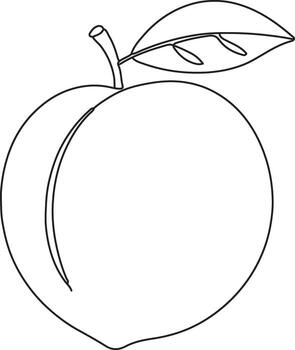 elegant continuous single line peach drawing with leaf vector