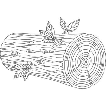 Log coloring page with leaves and a tree trunk vector
