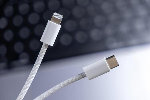 Modern white braided cables displaying Lightning and USB-C connectors, highlighting universal connectivity and compatibility for rapid device charging and efficient data transfer photo