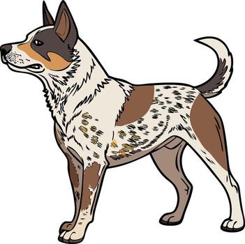 Australian Cattle Dog Standing Alert on Ranch Field Available on EPS File vector