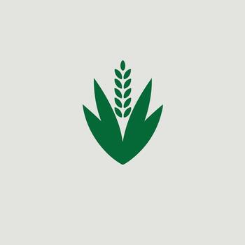 a green wheat logo on a white background vector