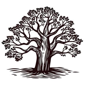 detallado ilustración de un grande roble árbol con desmadejado ramas y texturizado maletero aislado en un blanco antecedentes vector
