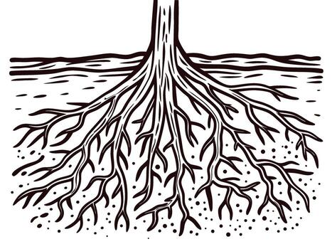 Intricate hand drawn tree roots and trunk illustration isolated on white background, botanical nature sketch vector