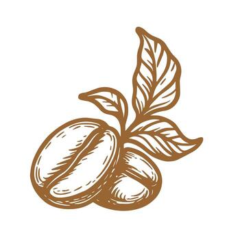 Hand-Drawn Coffee Beans and Leaf Sketch vector