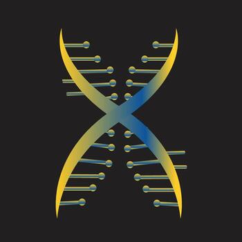 Gradient double DNA Helix design vector