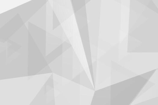 Modern gray white abstract geometric polygonal background texture design vector