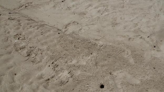 Sand texture exhibits patterns and small holes on a beach, suggesting a natural, untouched coastal environment with a sense of tranquility. photo