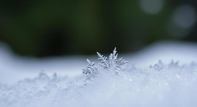 Macro View of a Glacial Snowflake's Intricate Ice Crystal Structure on a Snowy Surface photo