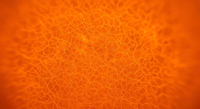 Abstract Orange Organic Network Pattern Background with Subtle Vignette Effect photo
