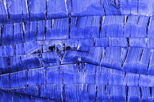 Closeup of natural palm tree trunk texture, blue pattern of fibrous layers. Macro photo nature design backgrounds, abstract nature textures, organic coconut fibers material, minimal botanical trend