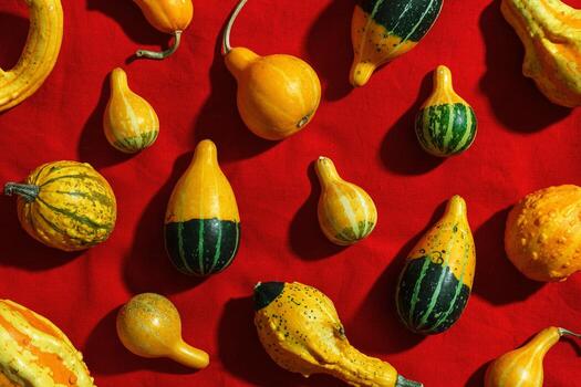 Pumpkins, gourds, squashes, patissons of different shapes and colors top view on red textile tablecloth. Autumn flat lay composition with ornamental pumpkins, minimal style, sunlight shadows photo