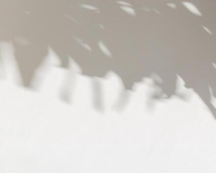 Natural palm leaf shadow on white color wall, background with empty space. Summer minimal concept, daylight in sunny day, top view plant sun shade, natural shade environment pattern, white black photo