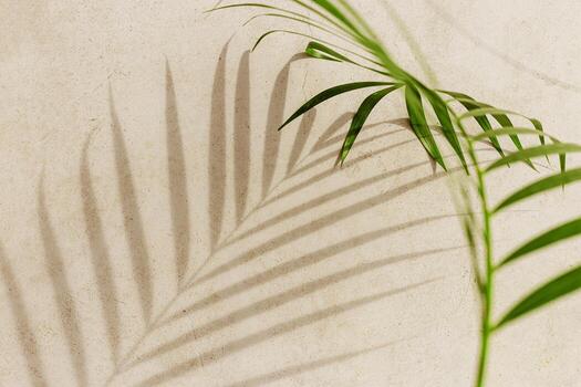 Natural palm leaf shadow on light beige sandy color background with empty space. Summer minimal concept, daylight in sunny day, top view plant sun shade, nature environment pattern, neutral tone photo
