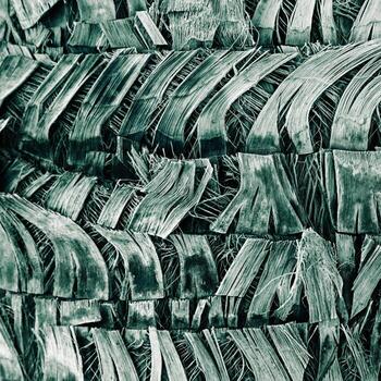 Close up of natural palm tree trunk texture, green pattern of fibrous layers. Macro photo nature design backgrounds, abstract nature textures, organic coconut fibers material, minimal botanical trend