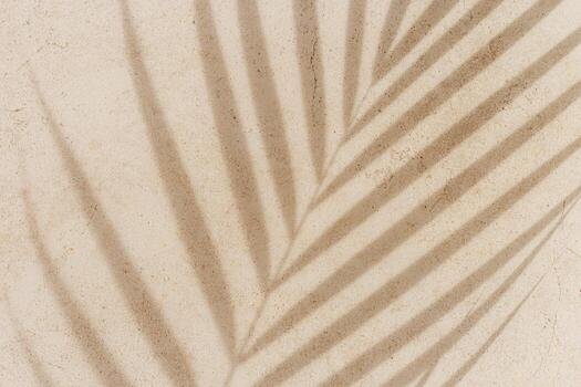 Summer minimal background with shadow from natural palm leaf on light beige concrete background, hard light, copy space. Pastel colored aesthetic photo with palm shadows at sunlight.