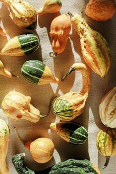 Top view pattern of Decorative pumpkins, shadows at sunlight on canvas tablecloth background, Rustic style design still life, autumn season holiday or harvest concept. Autumnal flat lay photo