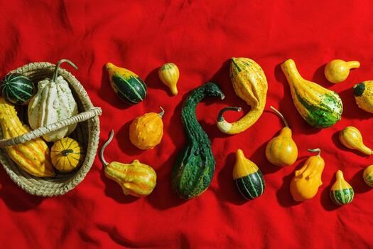 Pumpkins, gourds, squashes, patissons of different shapes and colors top view on red tablecloth and wicker basket. Autumn flat lay layout with ornamental pumpkins, minimal style, sunlight shadow photo
