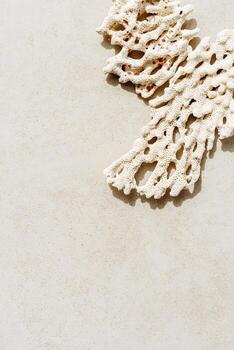 Piece of coral on sandy color coast. Minimal style trend photo at sunlight. Summer vacation concept, beach mood. Nautical design abstract background. Top view nature aesthetics still life