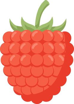 Simple Flat Style Raspberry Fruit Isolated on White Background Icon vector