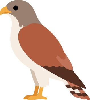 Flat Illustration Standing Hawk Bird Character Graphic Design Element vector