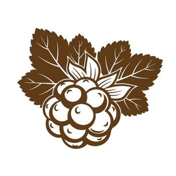 Artistic illustration of a brown raspberry with leaves on a white background vector