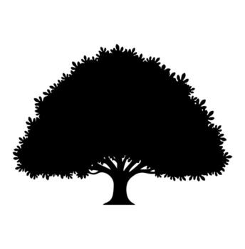 Silhouetted tree with rounded crown and visible trunk on white background vector