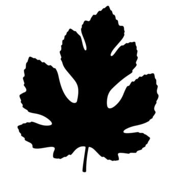 A black silhouette of a leaf with jagged edges and a stem isolated on a white background vector