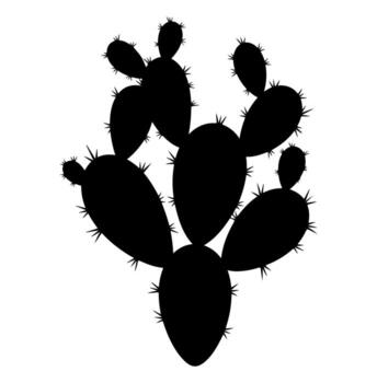 A silhouetted cactus with prickly spines, set against a stark white background vector