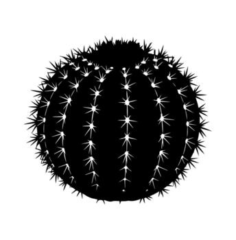 un negro y blanco gráfico de un barril cactus con afilado, puntiagudo espinas vector