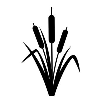 Silhouetted illustration of cattails with several reeds and leaves on a white background vector