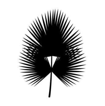 A stylized black palm leaf on white background. Fan-like with sharp, spiky edges vector