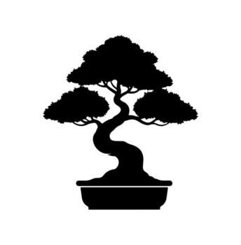 Silhouette of a bonsai tree in a rectangular pot, set against a stark white backdrop vector