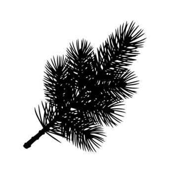 Silhouette of a fir branch with multiple needles, against a white background vector
