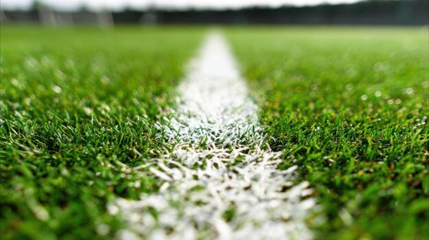 Close up shot of a green grass field with white lines photo