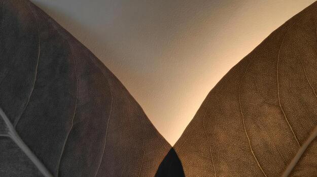 Abstract close up of leaves against bright background photo