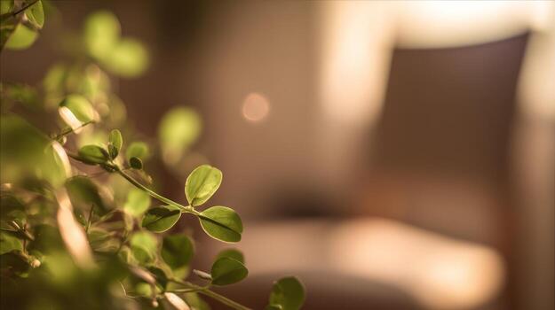 Close up of plant leaves in front of blurred background photo