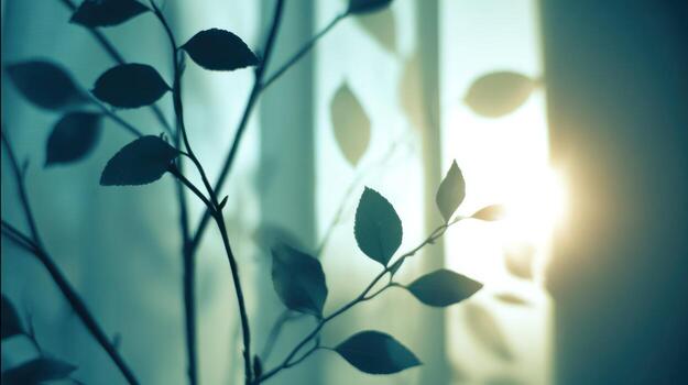 Branch leaves silhouetted against window with bright light photo