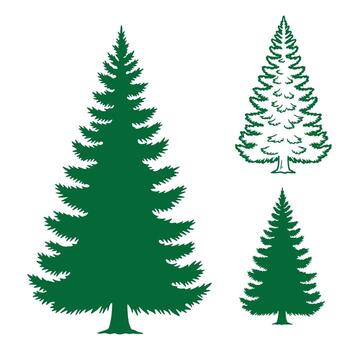 Silhouette illustrations of evergreen christmas trees in different styles on a white background vector