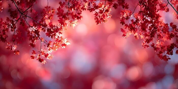 Vibrant red autumn leaves hang from tree branches with a soft colorful bokeh background photo