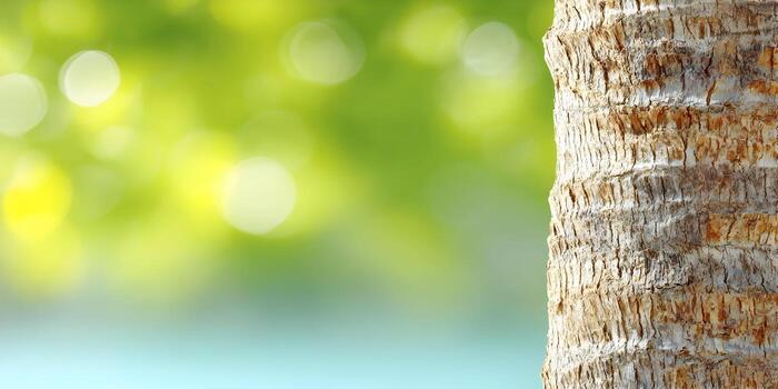 A close up of a palm tree trunk with textured bark standing against a vibrant blurred green and blue bokeh background photo