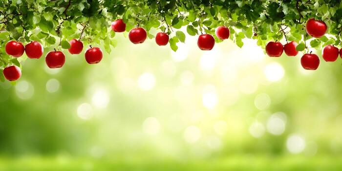 Fresh red apples dangle from lush green branches with sunlit bokeh creating a vibrant natural frame photo