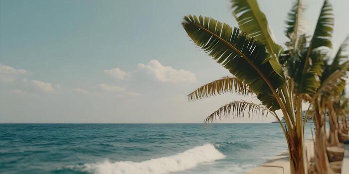 A serene view of the ocean with gentle waves and a line of palm trees under a calm sky photo