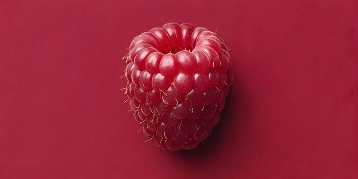 A single vibrant red raspberry rests on a solid matching red background photo