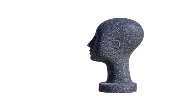 schiuma indossatrice testa Schermo grigio isolato profilo umano forma strutturato leggero realistico modello schiuma indossatrice testa Schermo grigio colore isolato trasparenza sfondo mostrando profilo Visualizza con png