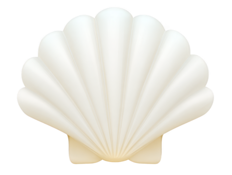 White seashell scallop shell isolated on transparent background smooth texture symmetrical shape natural marine object ocean theme decorative elegant minimalistic calm feeling png