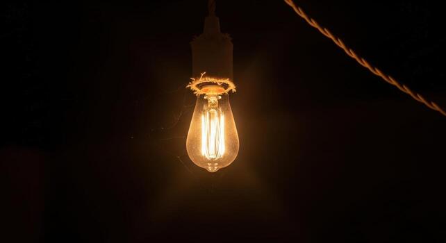 A light bulb is lit up in the dark photo