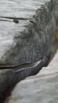 Close-Up of Weathered Wooden Surface photo