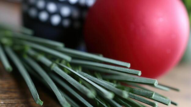 Close-up view of red ornament resting on a pine branch with green needles capturing holiday spirit and festive decor photo