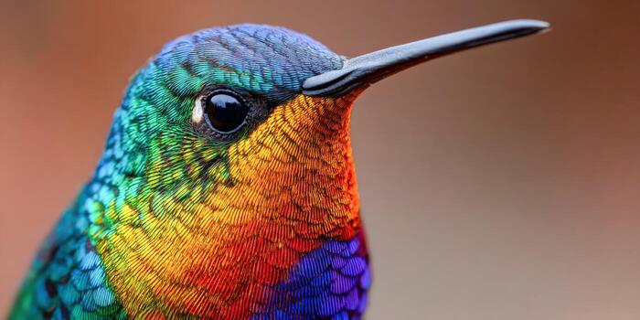 Multicolored hummingbird perched in the lush rainforest at dawn photo