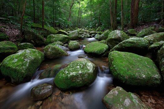 A stream running through a forest with large rocks photo